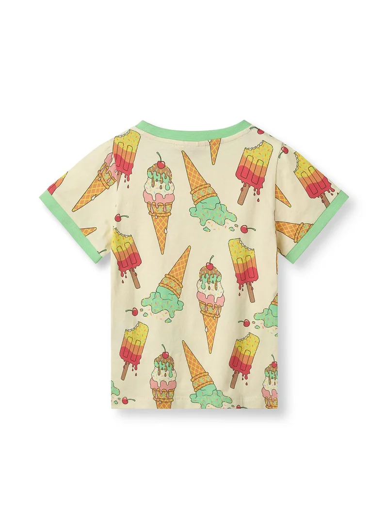Småfolk T-shirt with ice cream